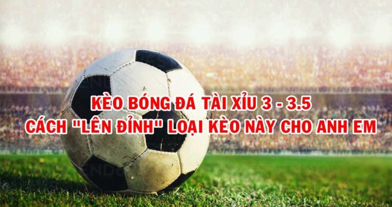 Thông tin chi tiết về tài xỉu 3.5 và kinh nghiệm chơi chắc thắng