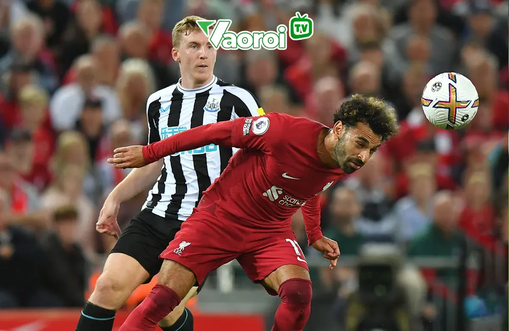 Nhận định soi kèo Newcastle vs Liverpool, 22h30 27/08/2023